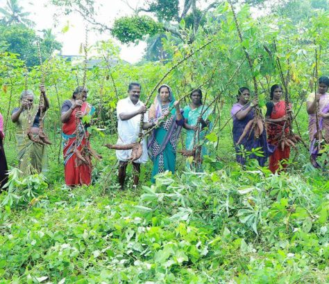 kudumbasree-irimbiliyam