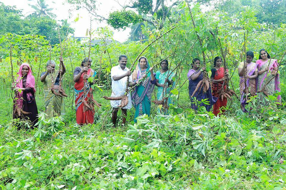 kudumbasree-irimbiliyam