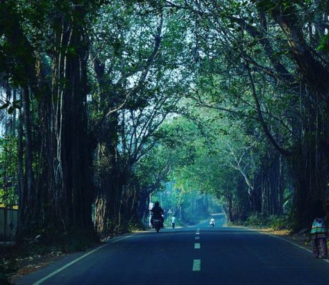 valanchery-angadippuram-road