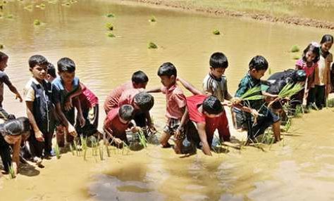 valiyakunnu halp-school