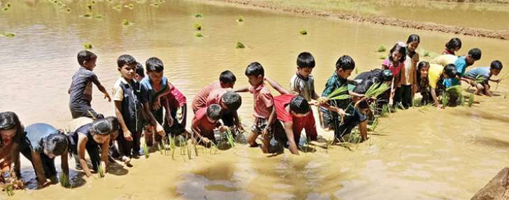 valiyakunnu halp-school