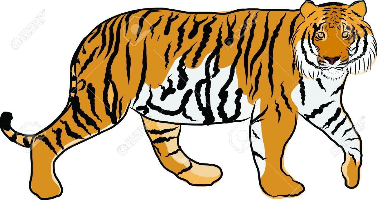 tiger clipart