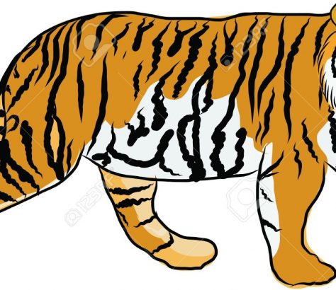 tiger clipart