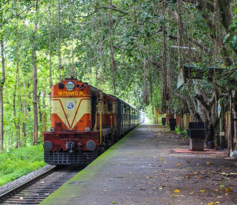 nilambur-shoranur