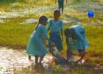 children-field