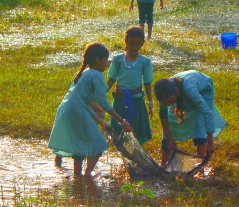 children-field