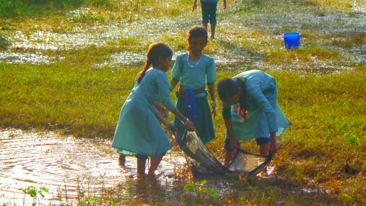 children-field