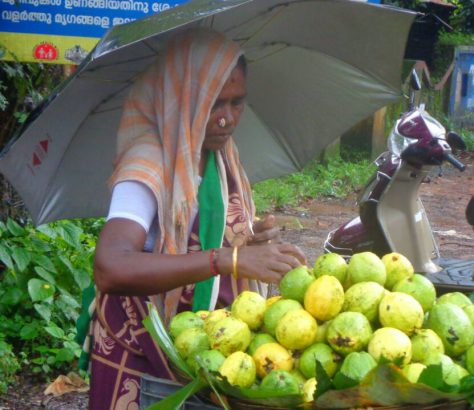 tamil-guava