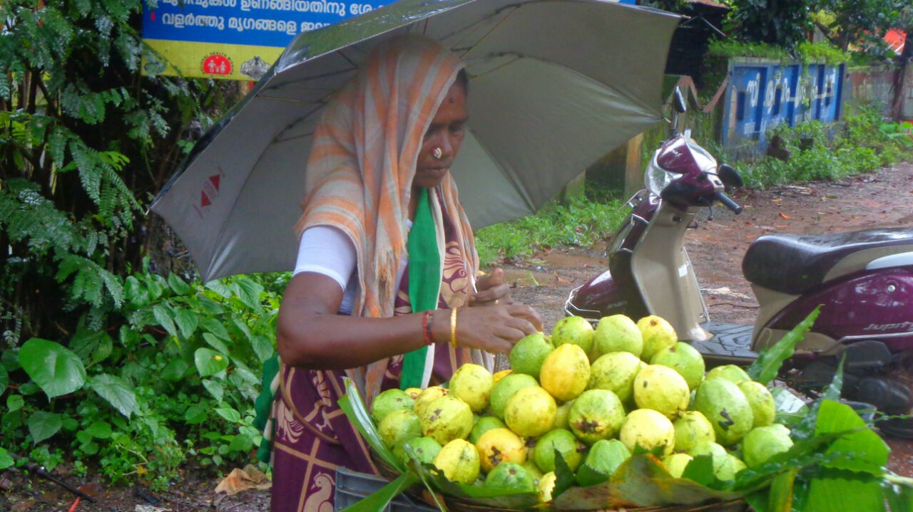 tamil-guava