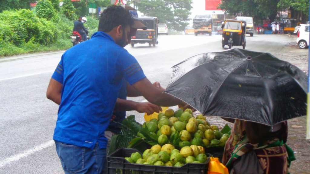 tamil-guava