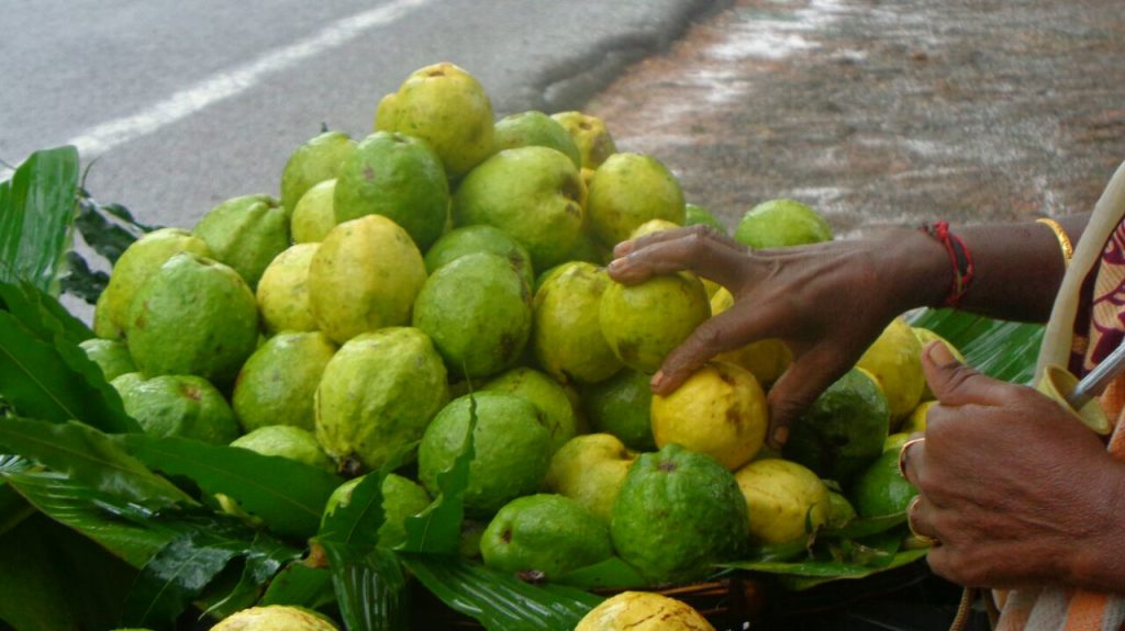 tamil-guava