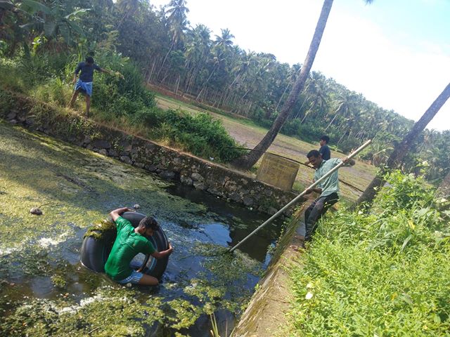 kammuttikulam-cleaning