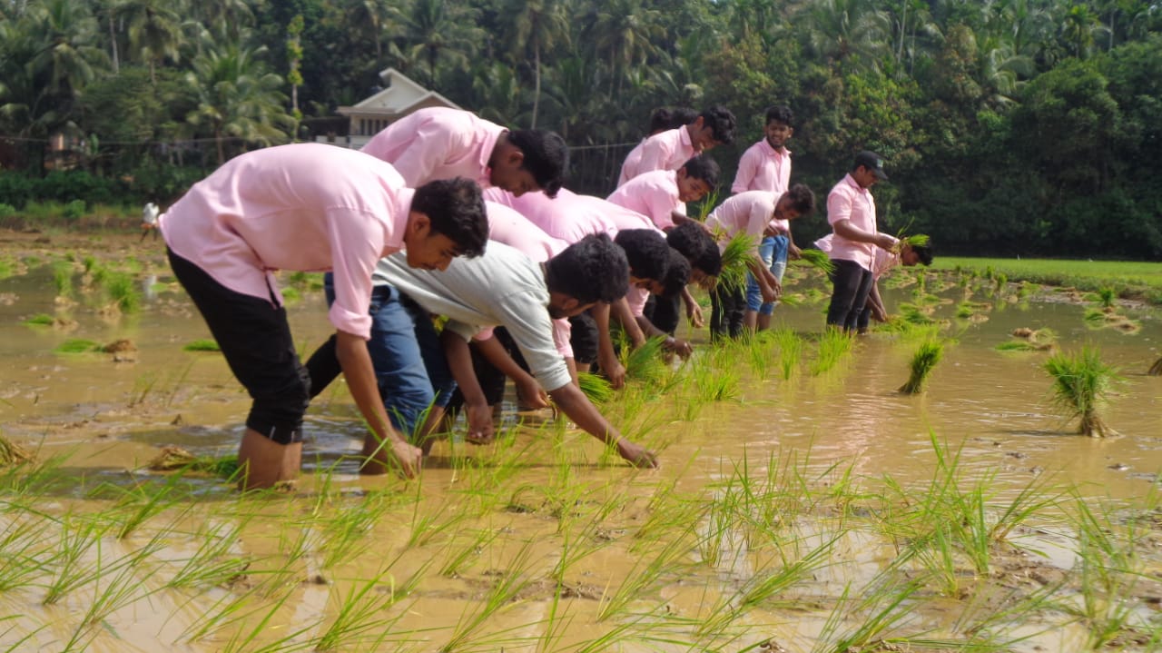 keerutti-puthuparamba