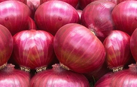 onion