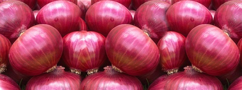 onion