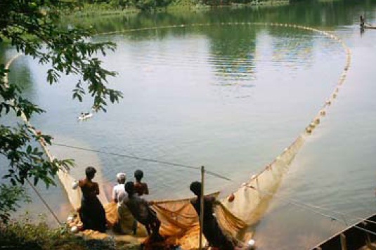 fish-farming