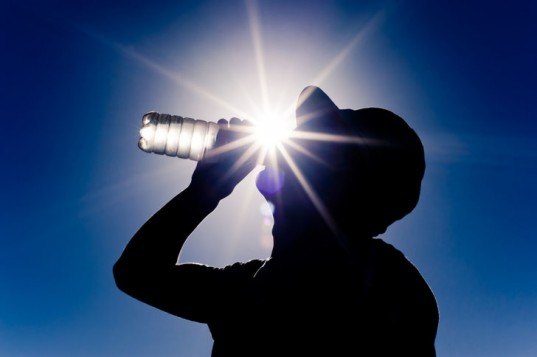 sun-drinking-water