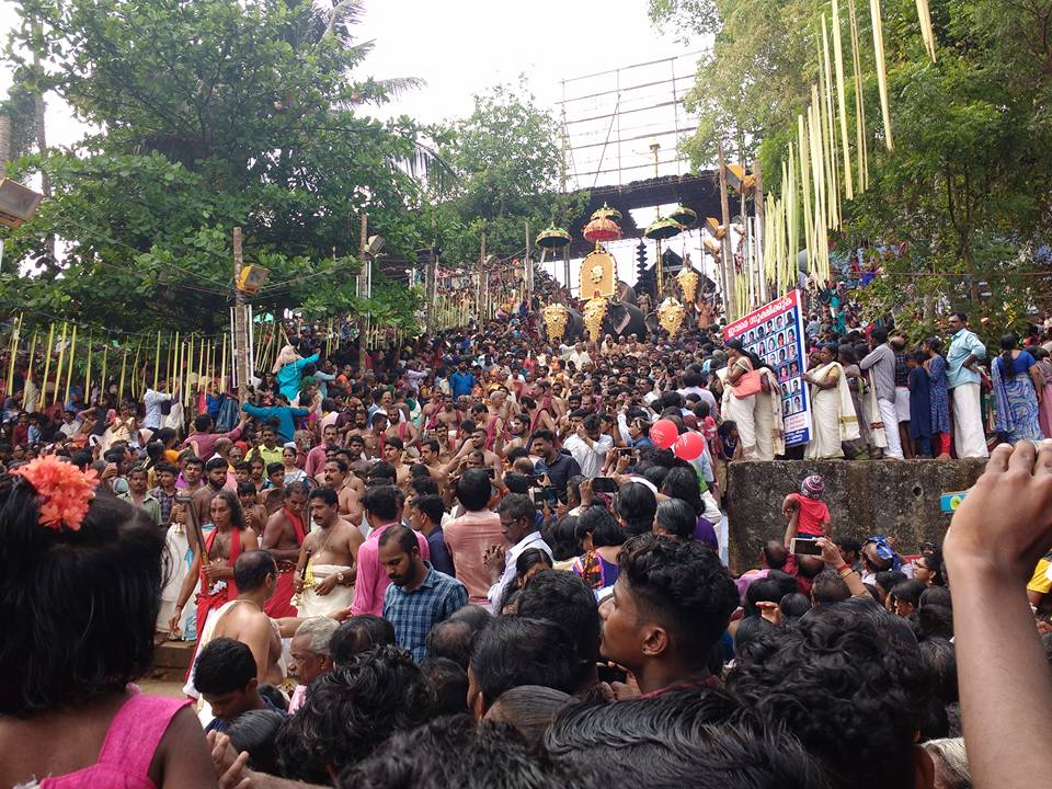 angadippuram-pooram-2019