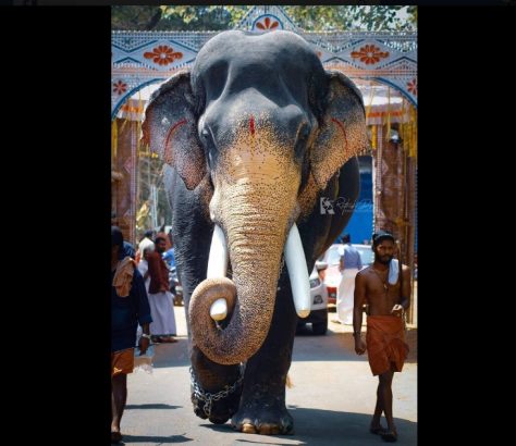 mangalamkunnu-ayyappan