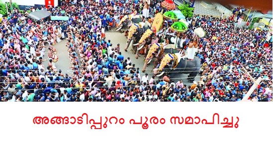 pooram-2019