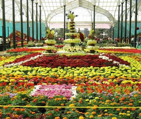 ooty-flower-show