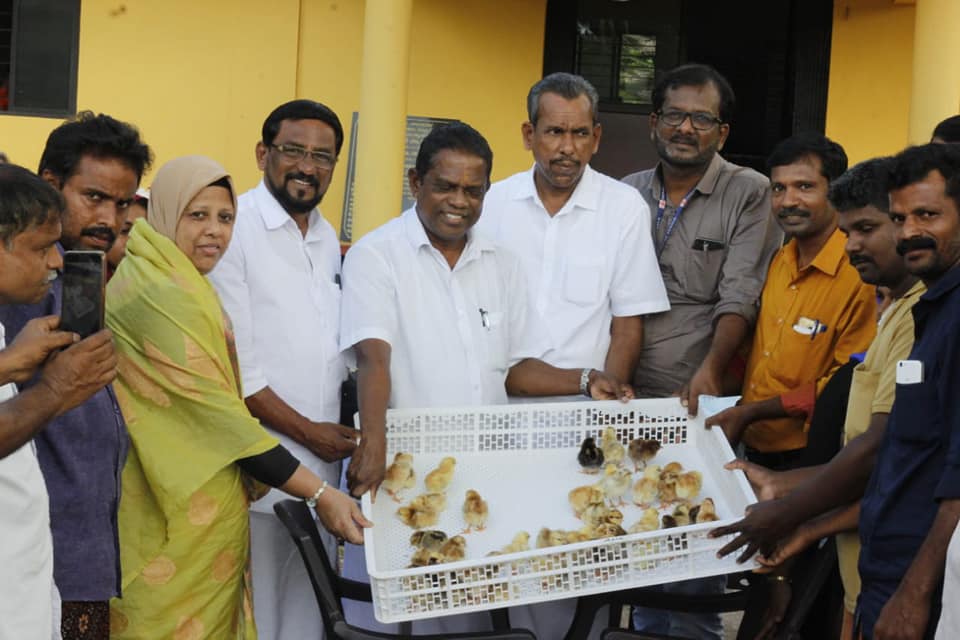 poultry-athavanad