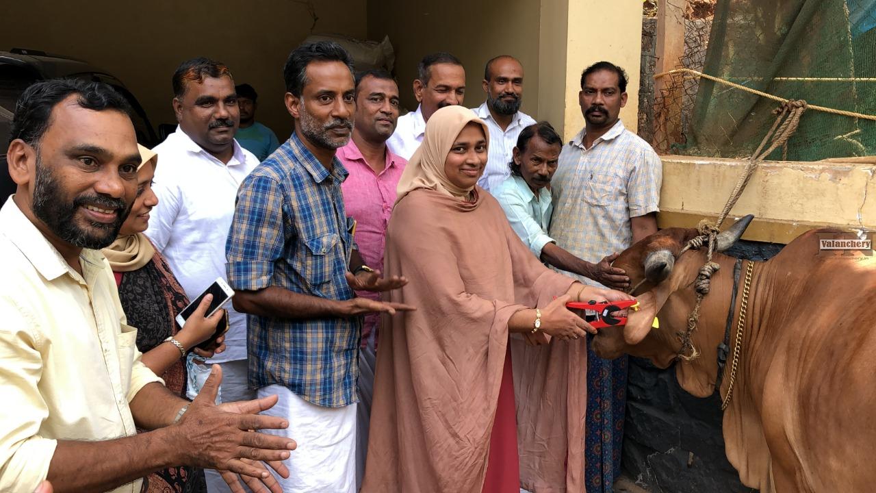 hoof-disease-vaccination-valanchery