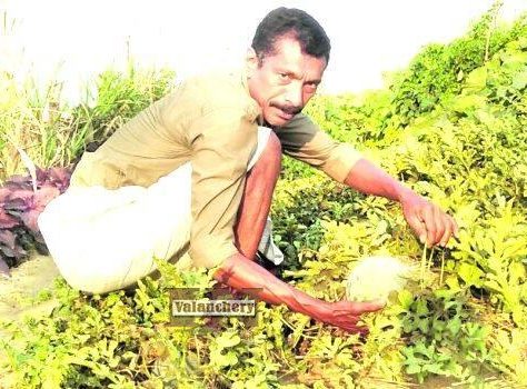 bharathapuzha-water-melon