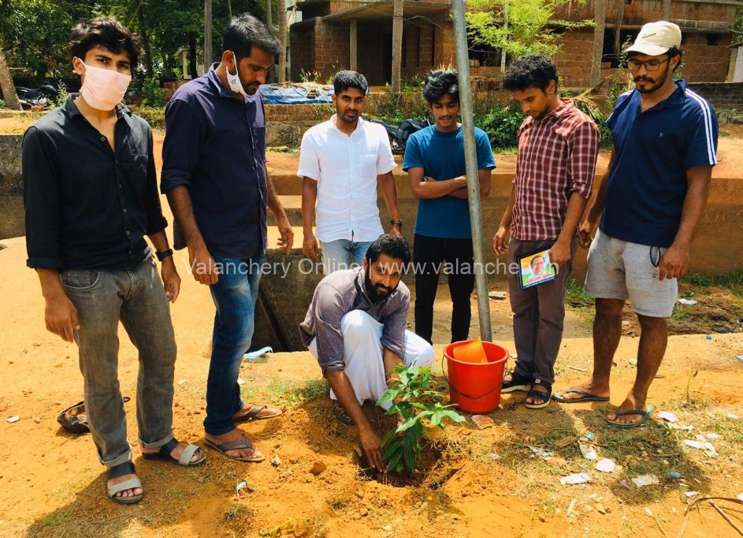 rajeev-gandhi-tree-maramkunnu