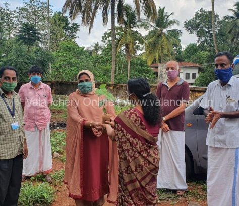 plant-distribution,valanchery