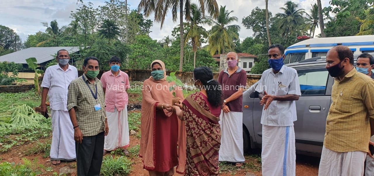 plant-distribution,valanchery