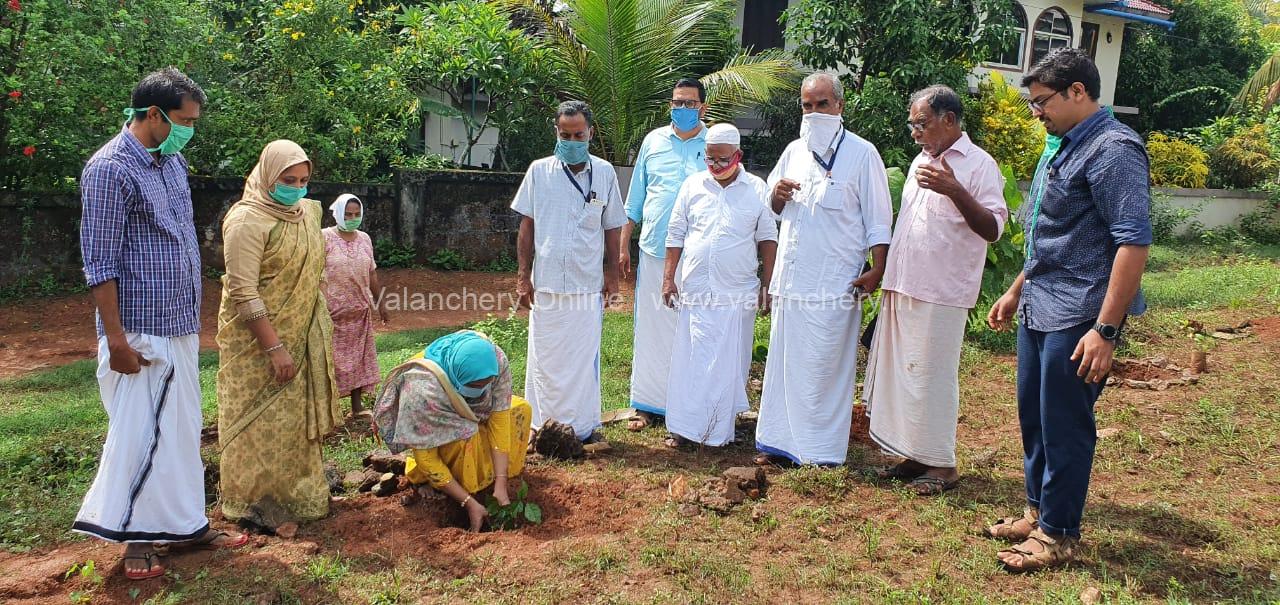 environment-day-valanchery