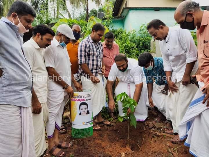 youth-congress-irimbiliyam-plant