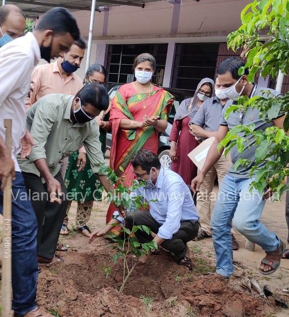 nss-sapling-plant-tirur