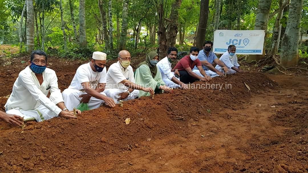 jci-valanchery-cultivation