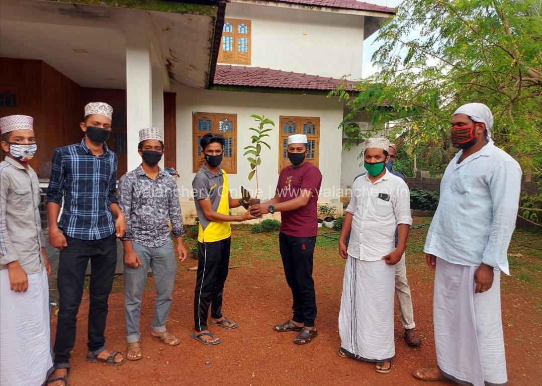 skssf-perumparamba-sslc