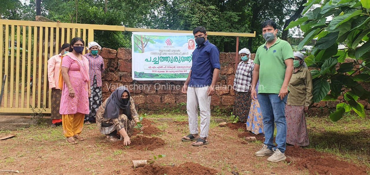 pachathuruth-valanchery