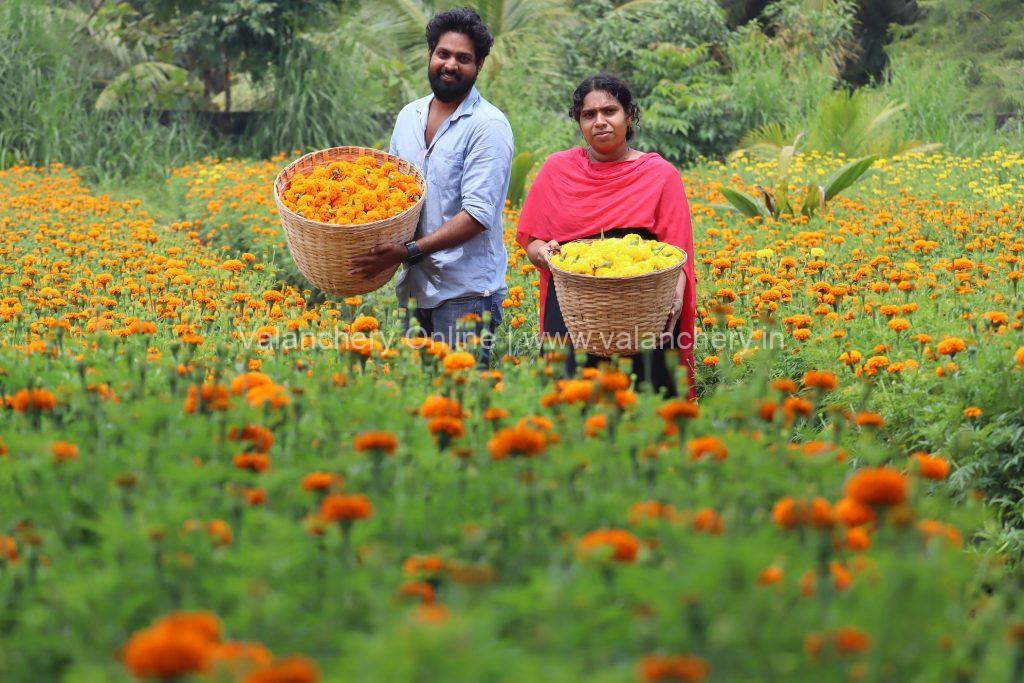 marigold-niramaruthoor