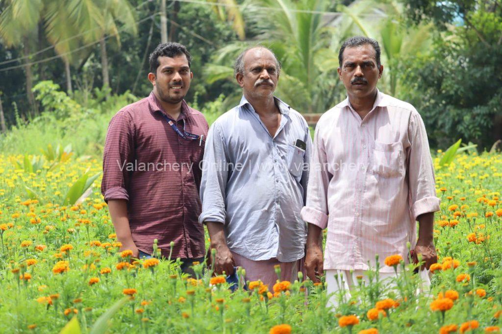 marigold-niramaruthoor