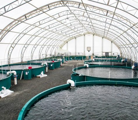 fish-farming