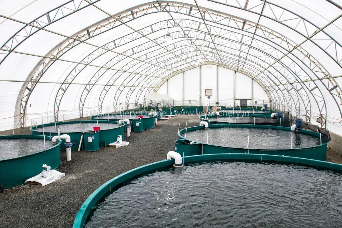 fish-farming