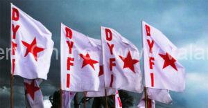 dyfi-flag