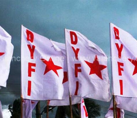 dyfi-flag