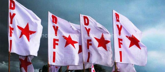 dyfi-flag