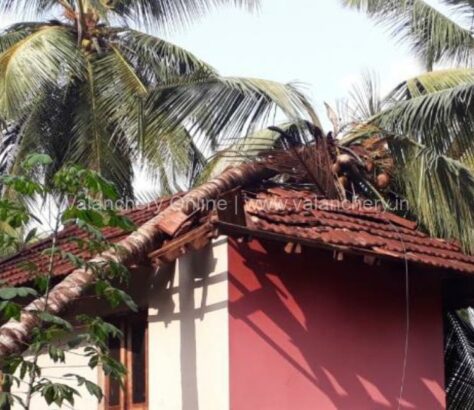 vengad-coconut-palm-house