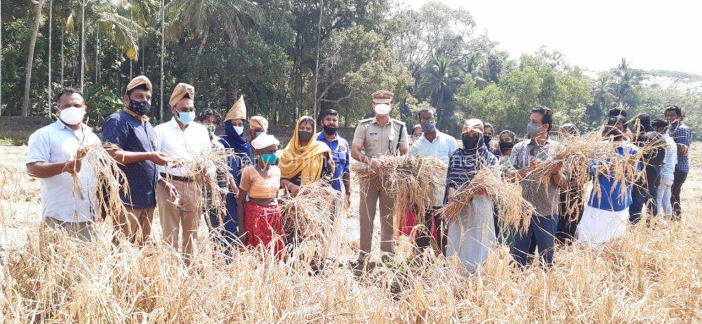 harvest-irimbiliyam-nss