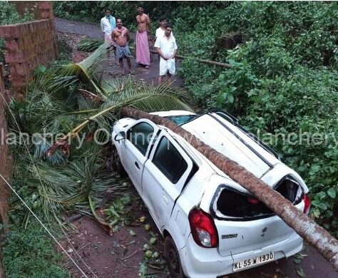 valiyaparappur-car-tree