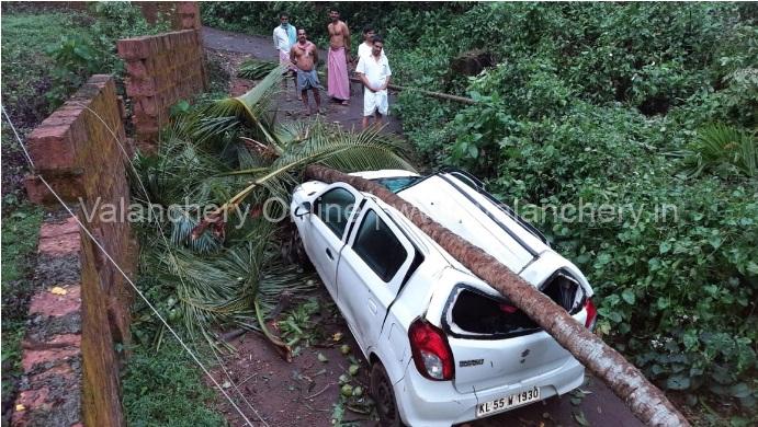 valiyaparappur-car-tree