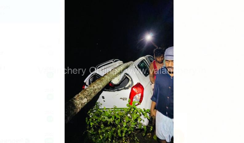 valiyaparappur-car-tree