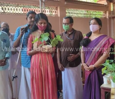 ayudh-tanur-saplings-kadampuzha